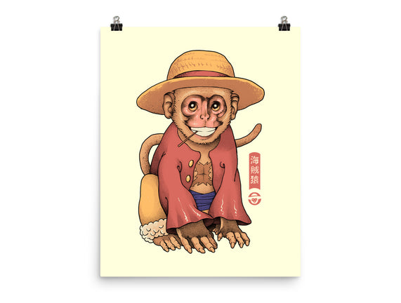 Monkey Pirate King