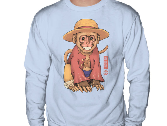 Monkey Pirate King