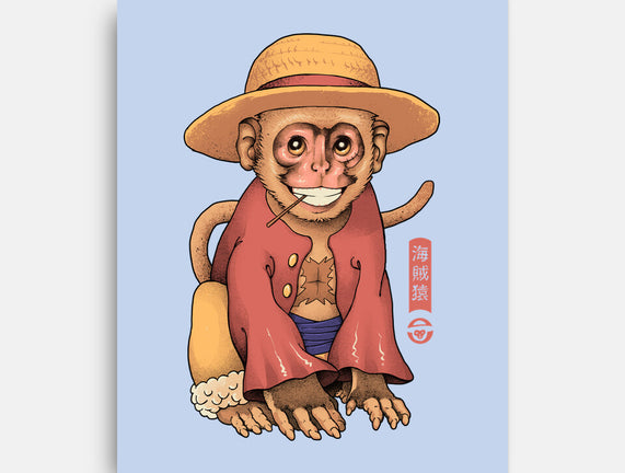 Monkey Pirate King