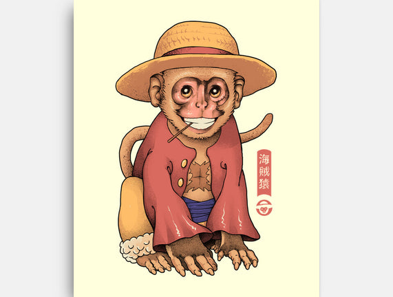 Monkey Pirate King