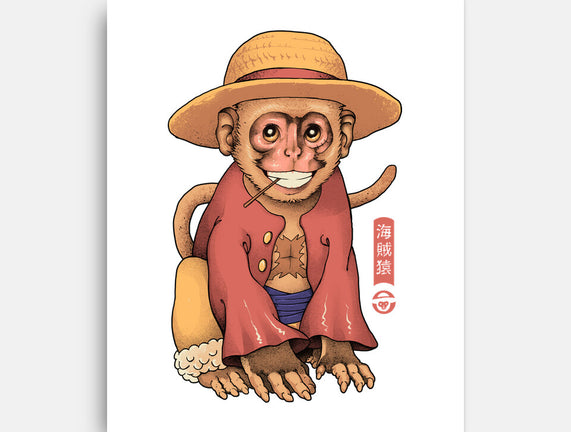 Monkey Pirate King