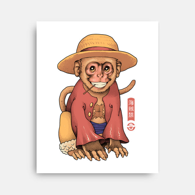 Monkey Pirate King-None-Stretched-Canvas-vp021