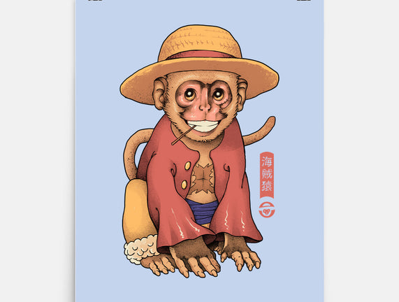 Monkey Pirate King