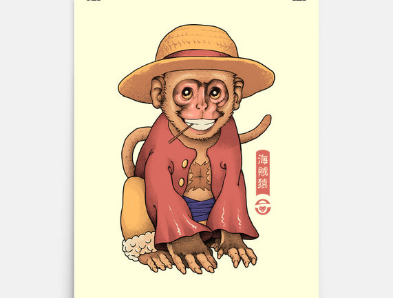 Monkey Pirate King