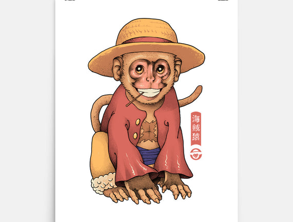Monkey Pirate King