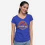 The Jurassic Dad-Womens-V-Neck-Tee-retrodivision