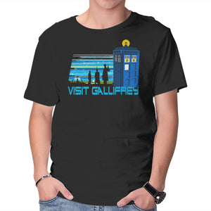 A Trip To Gallifrey