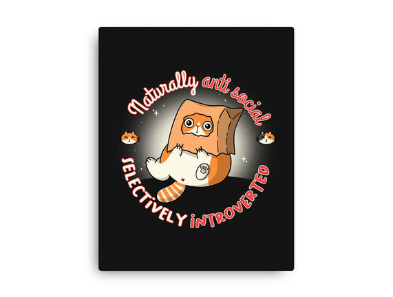 Anti Social And Introverted
