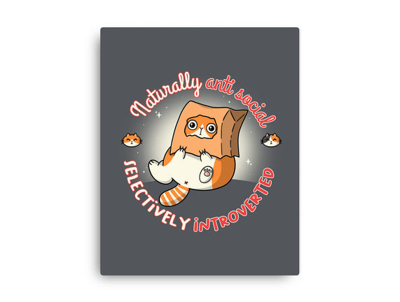 Anti Social And Introverted