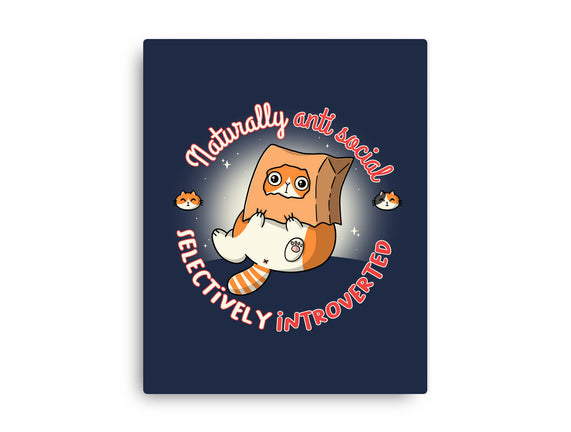Anti Social And Introverted