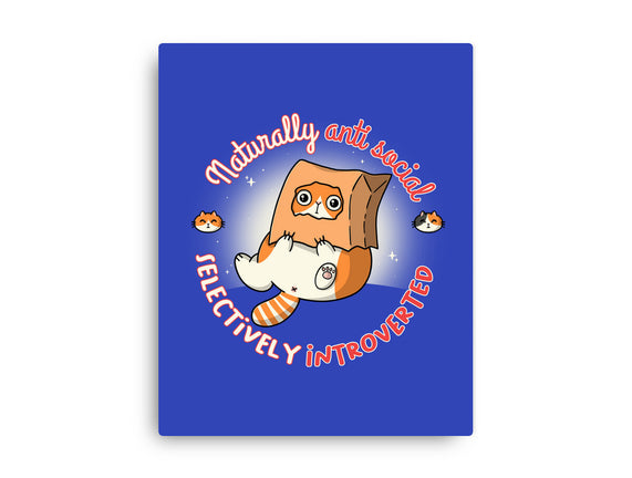Anti Social And Introverted