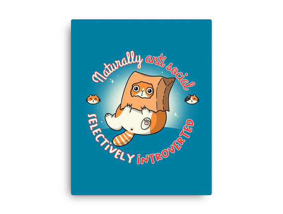 Anti Social And Introverted