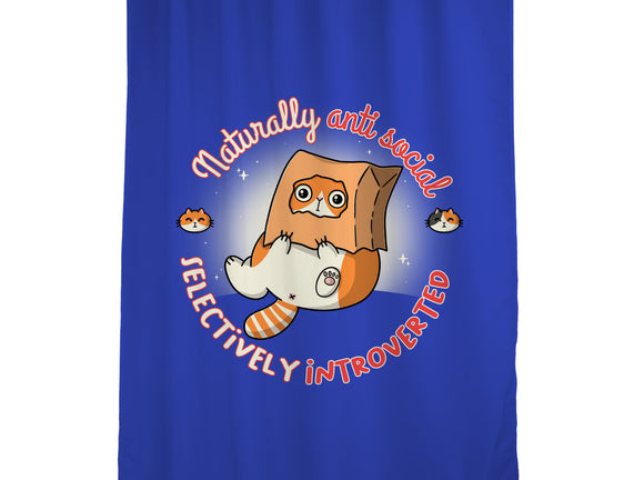 Anti Social And Introverted