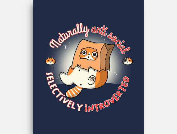 Anti Social And Introverted