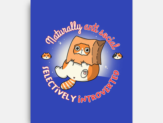 Anti Social And Introverted