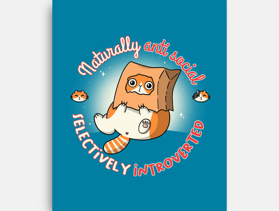 Anti Social And Introverted