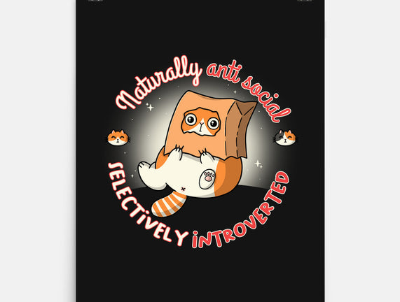 Anti Social And Introverted