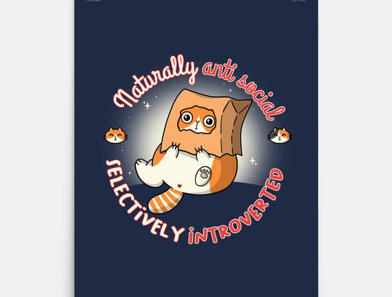 Anti Social And Introverted