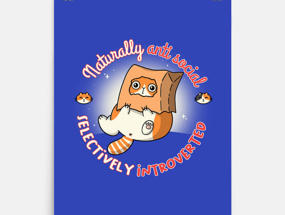 Anti Social And Introverted