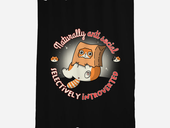 Anti Social And Introverted