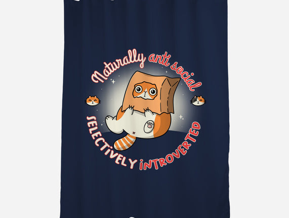 Anti Social And Introverted