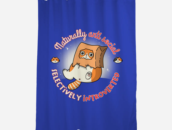 Anti Social And Introverted