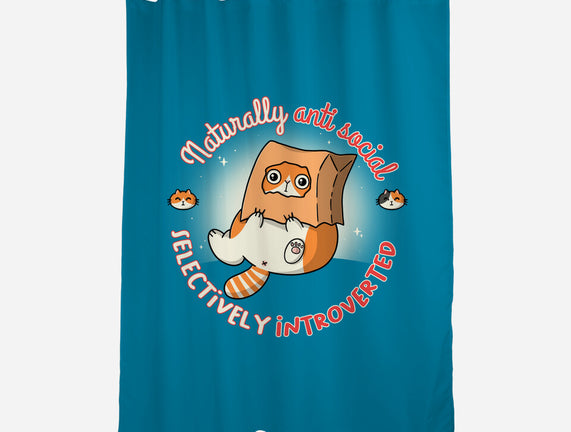 Anti Social And Introverted