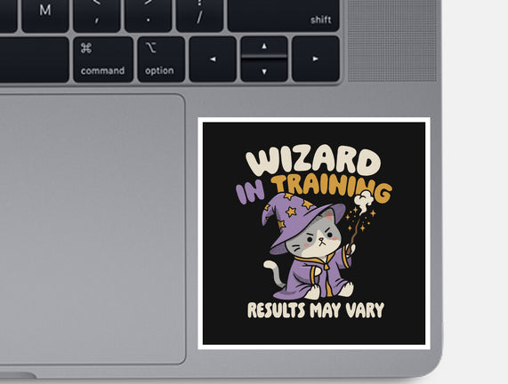 Wizard In Training