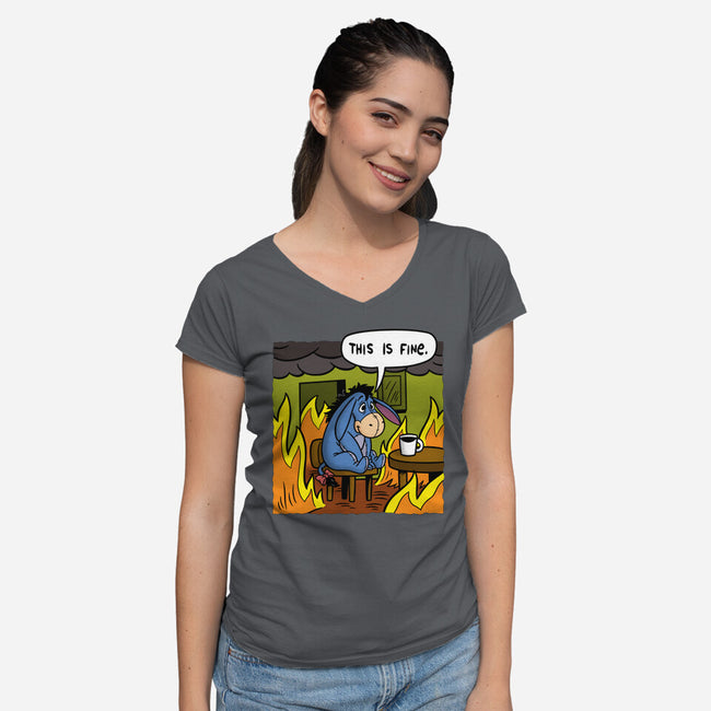 Stuffed Donkey Is Fine-Womens-V-Neck-Tee-Barbadifuoco