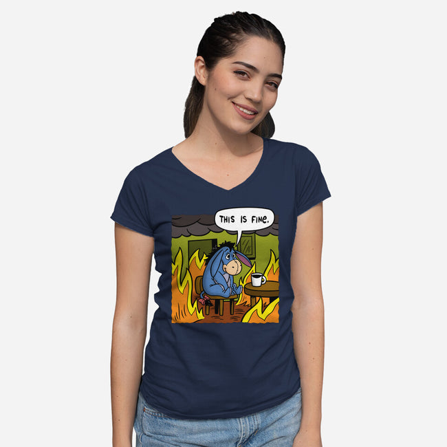 Stuffed Donkey Is Fine-Womens-V-Neck-Tee-Barbadifuoco