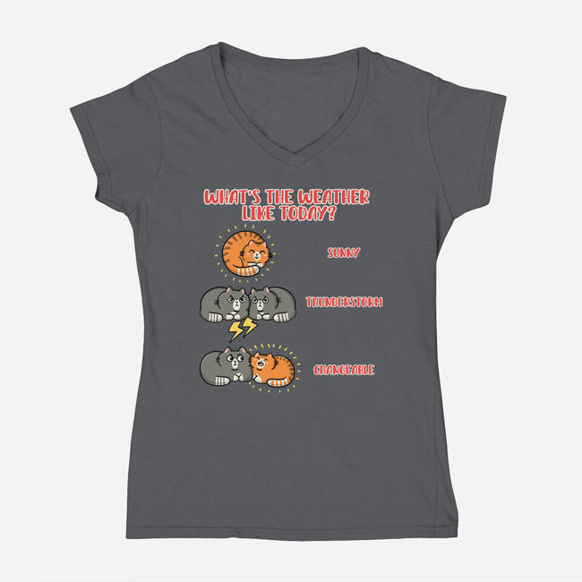 Meoweather-Womens-V-Neck-Tee-Freecheese