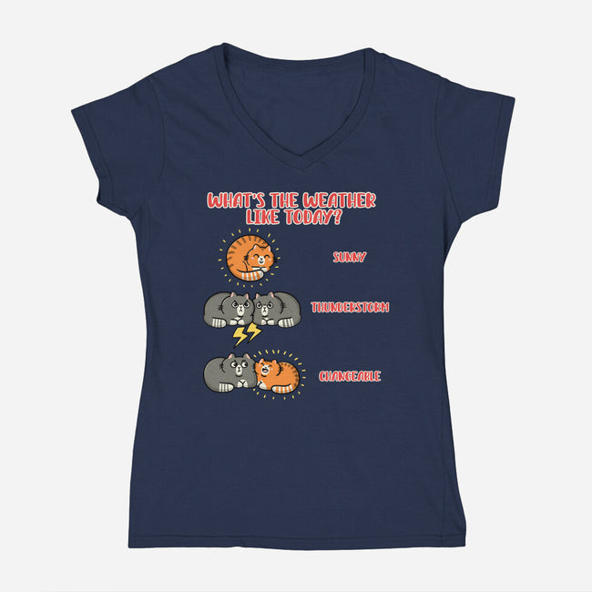 Meoweather-Womens-V-Neck-Tee-Freecheese