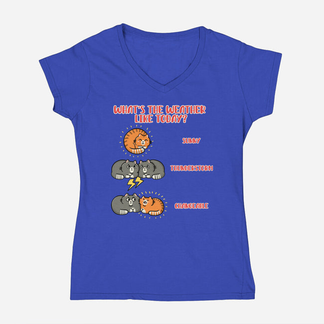Meoweather-Womens-V-Neck-Tee-Freecheese
