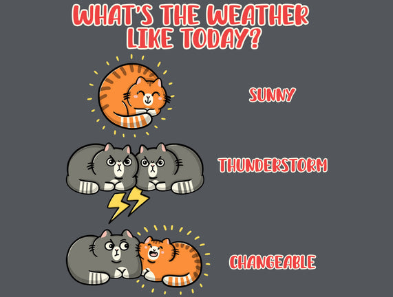 Meoweather