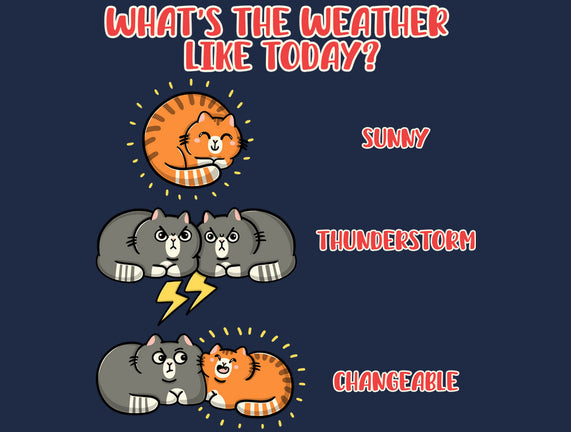 Meoweather