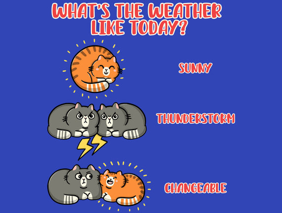 Meoweather