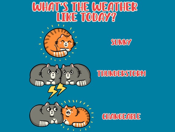 Meoweather