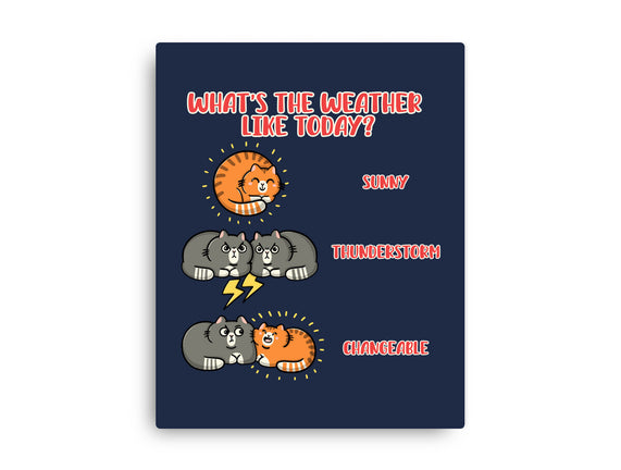 Meoweather