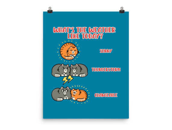 Meoweather