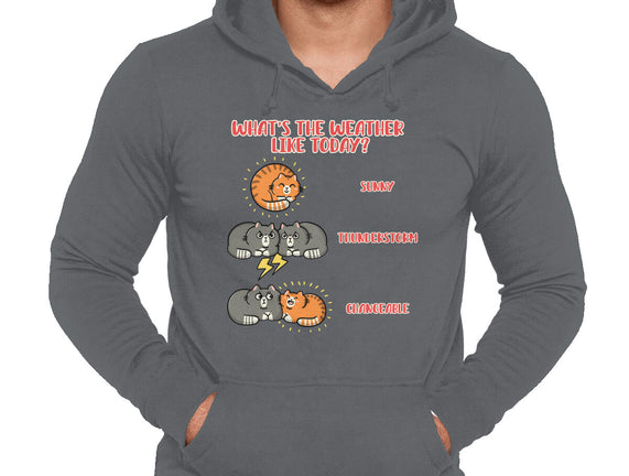Meoweather