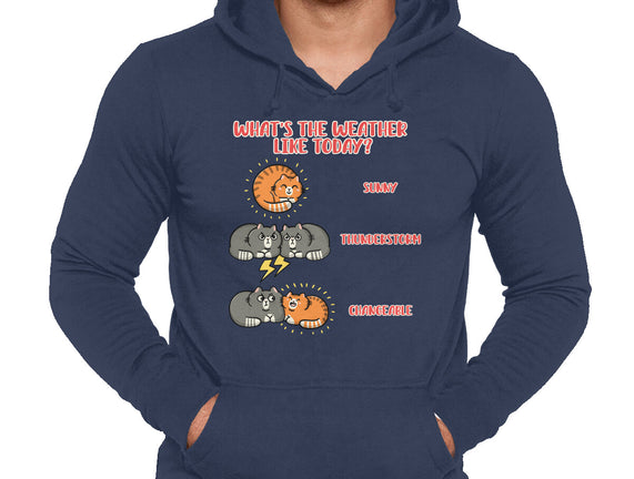 Meoweather