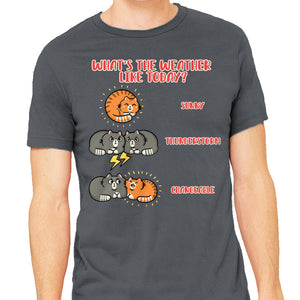 Meoweather