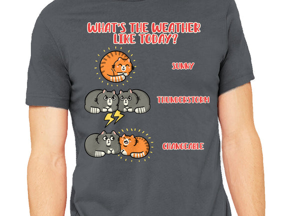 Meoweather