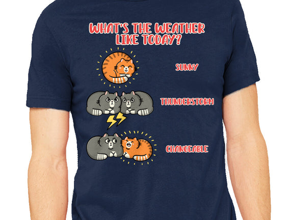 Meoweather