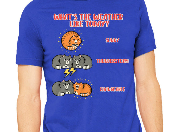 Meoweather