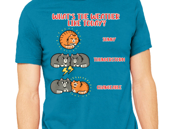 Meoweather