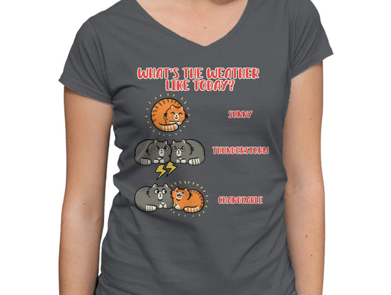 Meoweather