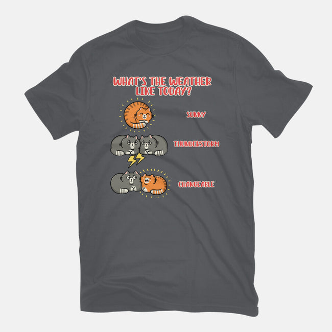 Meoweather-Mens-Heavyweight-Tee-Freecheese