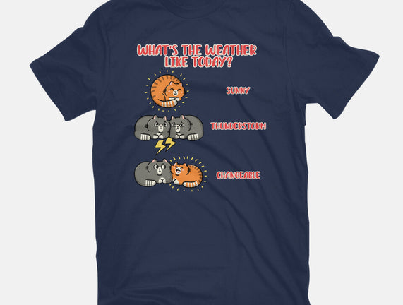 Meoweather