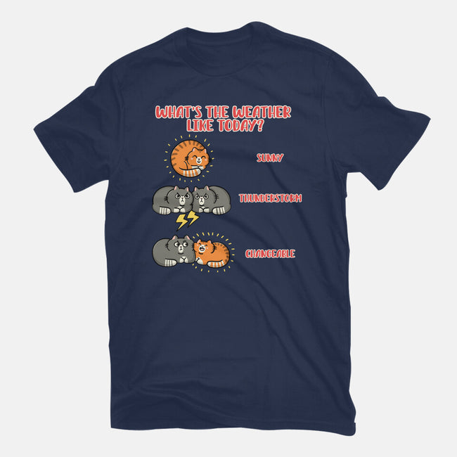 Meoweather-Mens-Basic-Tee-Freecheese